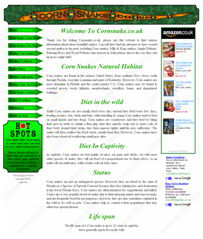 Image of our old cornsnake site